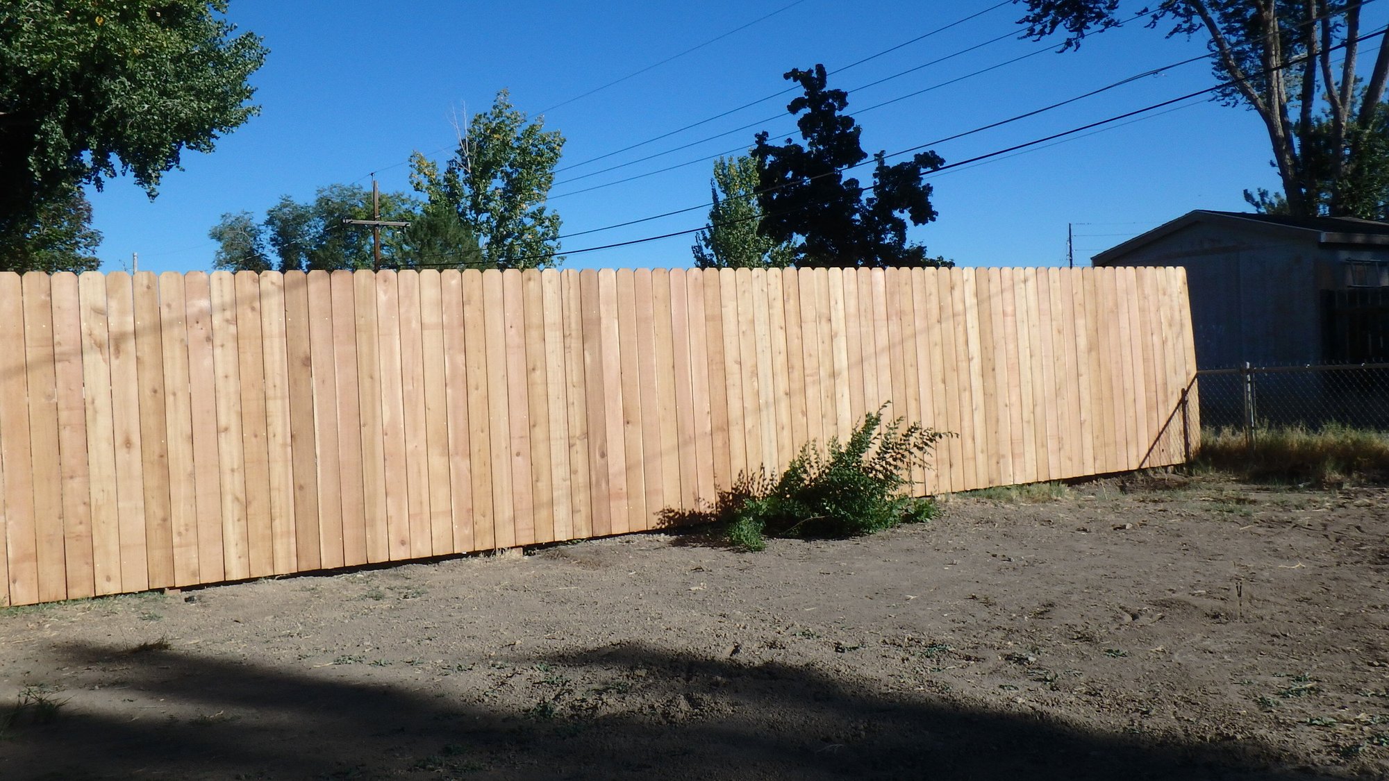 Cedar Fence